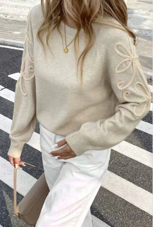 Pull Maille à Broderie Fleurs Manches
